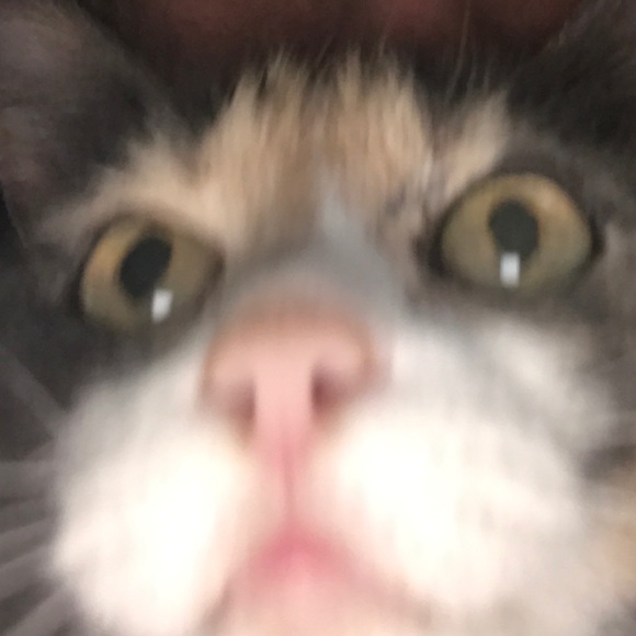 rmgray12